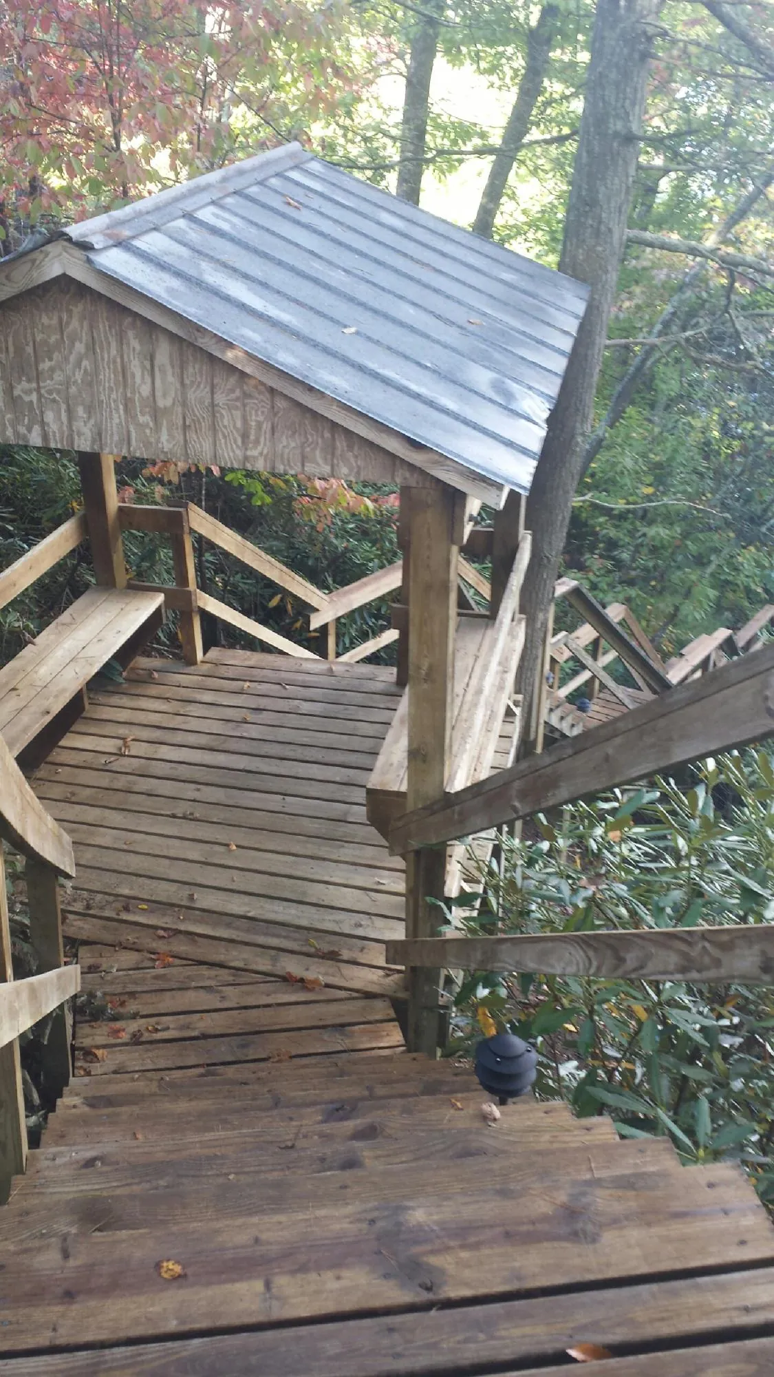 Metal roofed shelter over wooden steps on a wooded walkway — Skylight Repair & Installation work by our crew in Chicora